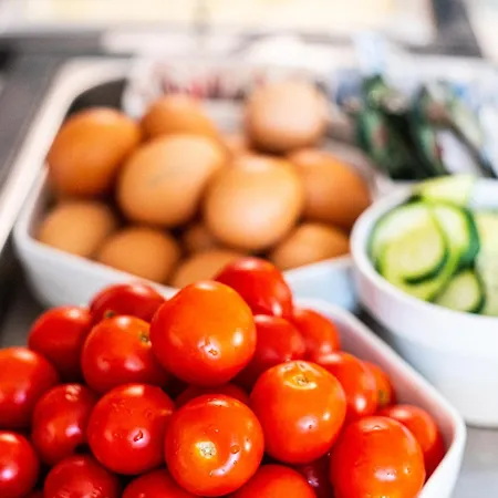 Querini Essential Business